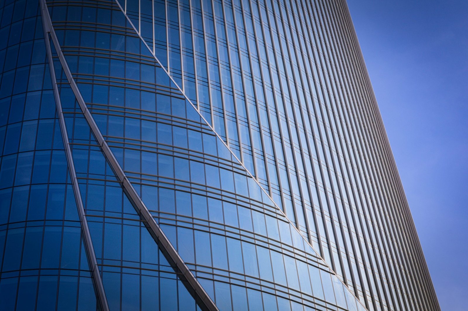 photo 1658160194351 2a6656b71728